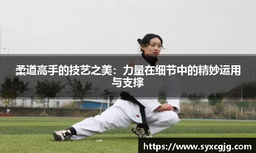NG体育SPORT